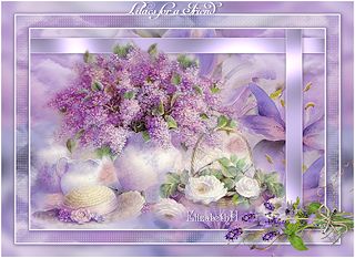 Lilac Love
